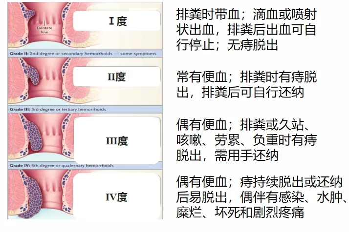 为什么