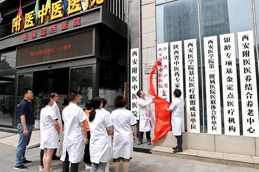 西安附医中医医院党支部正式成立