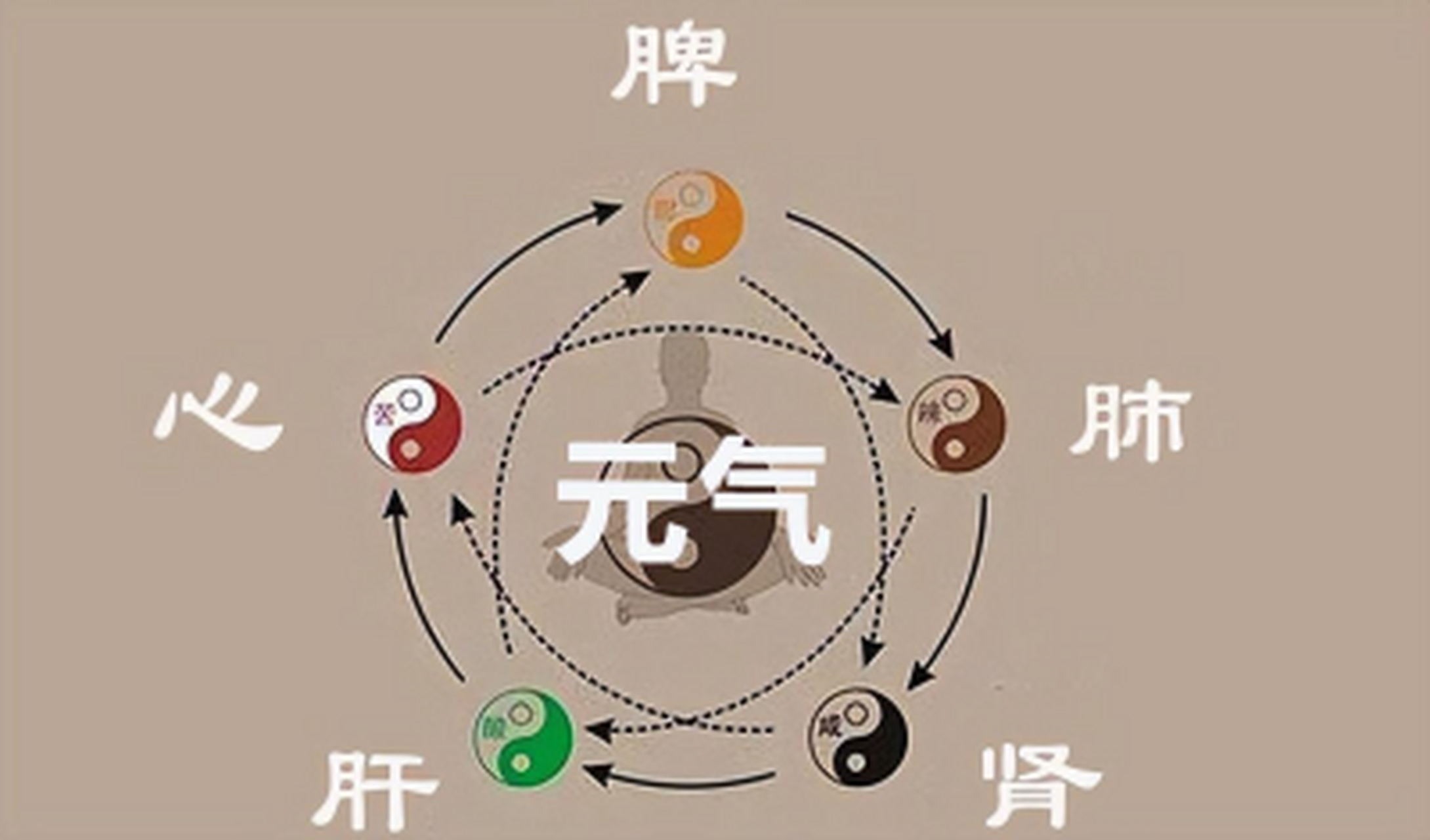 对抗恶性肿瘤，补元气就是补胜算!